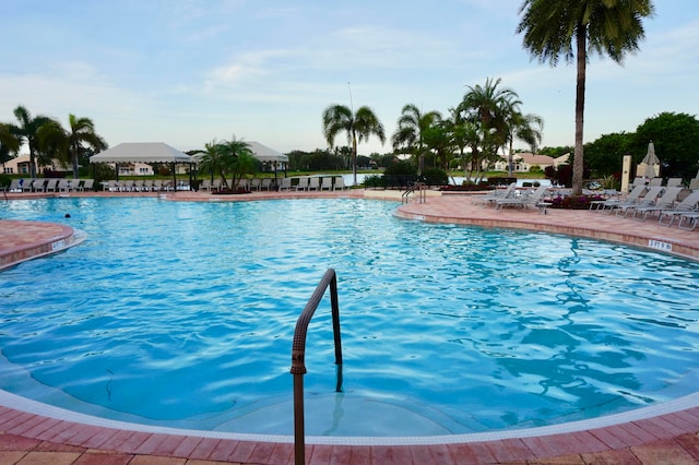 view of swimming pool with a patio area