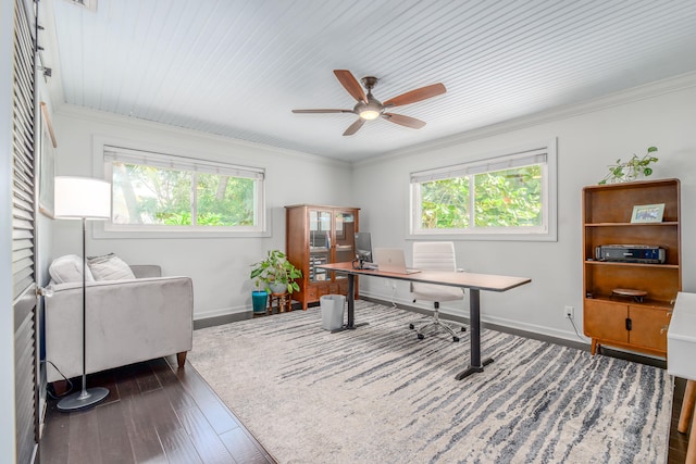 office featuring a healthy amount of sunlight, ceiling fan, crown molding, and dark hardwood / wood-style flooring