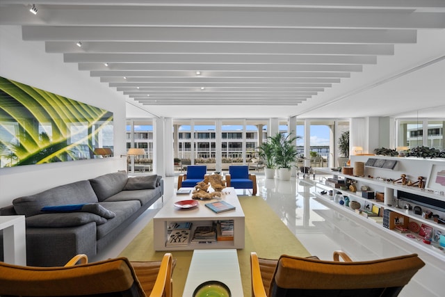 living room featuring expansive windows and beam ceiling