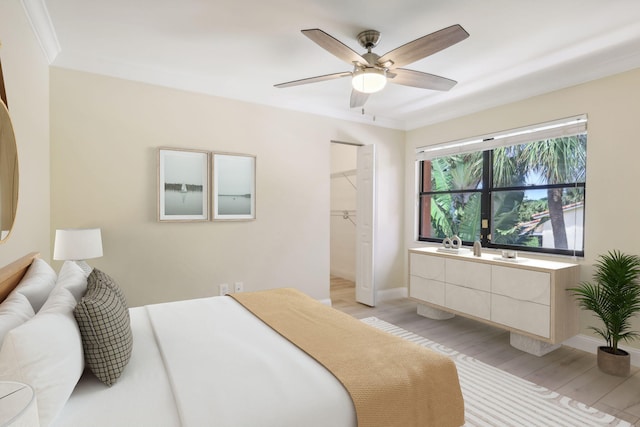 bedroom with light wood-type flooring, a spacious closet, a closet, ceiling fan, and crown molding