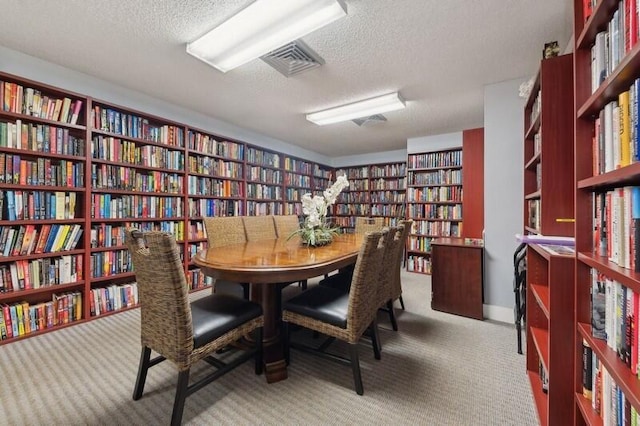 interior space featuring a textured ceiling and light colored carpet