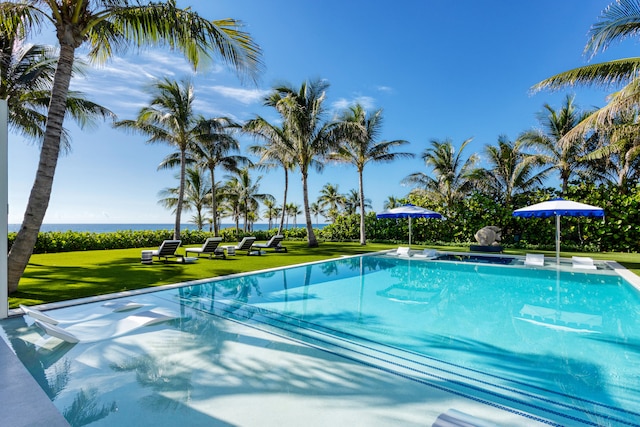 view of swimming pool with a lawn