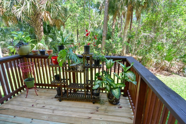 view of wooden deck