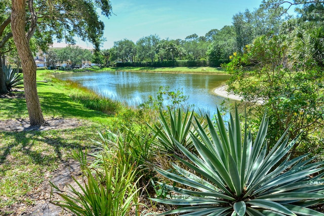 view of water feature