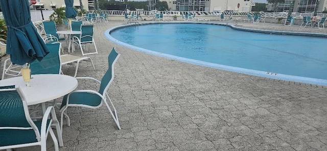 view of swimming pool with a patio