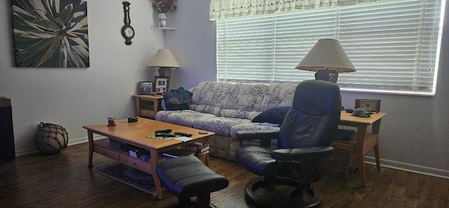 living room with dark hardwood / wood-style flooring