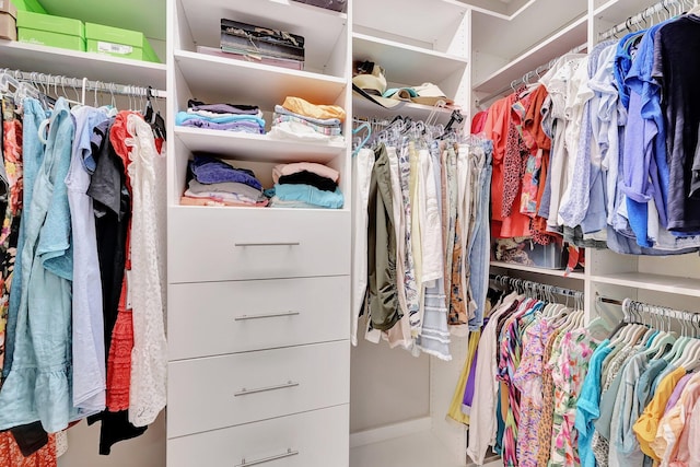 view of spacious closet