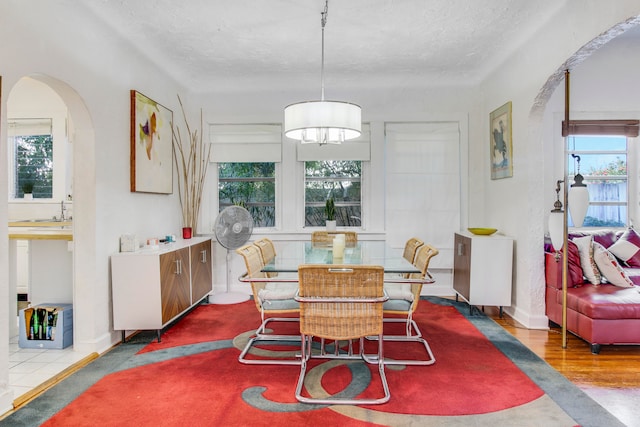 dining room with a textured ceiling and light wood-type flooring