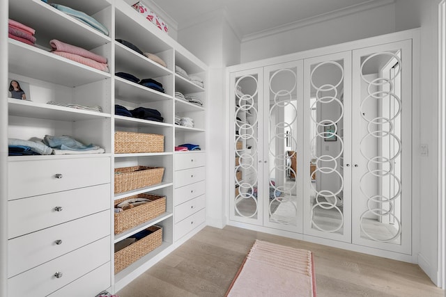 walk in closet with light hardwood / wood-style flooring