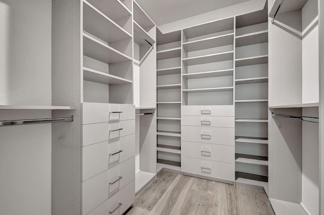 spacious closet featuring light wood-type flooring