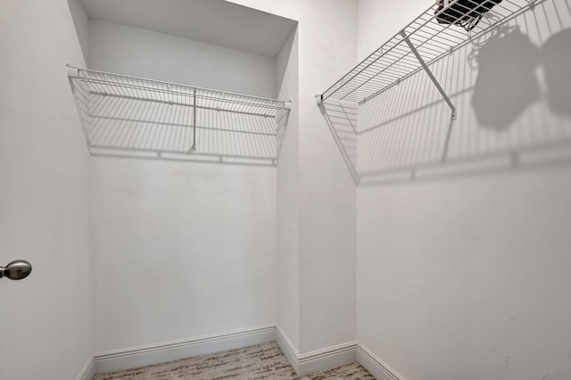view of spacious closet