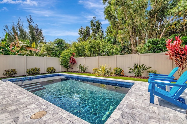view of swimming pool with a fenced backyard, a fenced in pool, and a patio