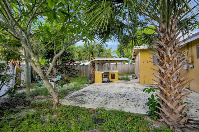 view of yard featuring a patio area