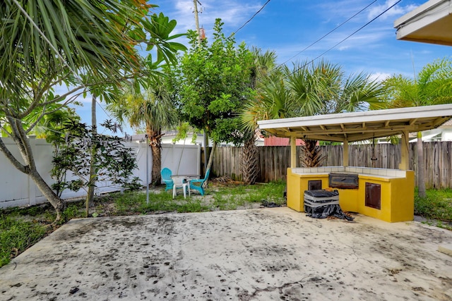 view of yard featuring a patio area