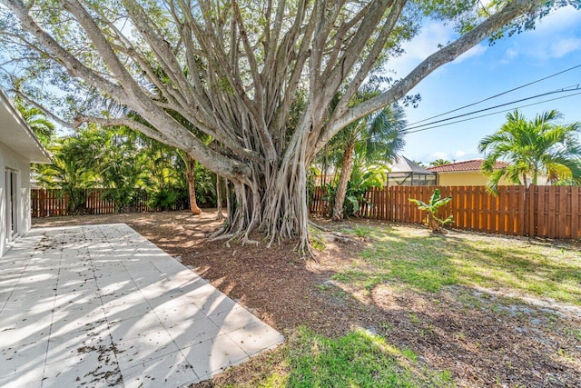 view of yard with a patio area