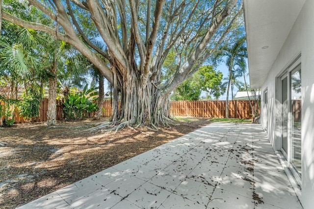 view of yard featuring a patio