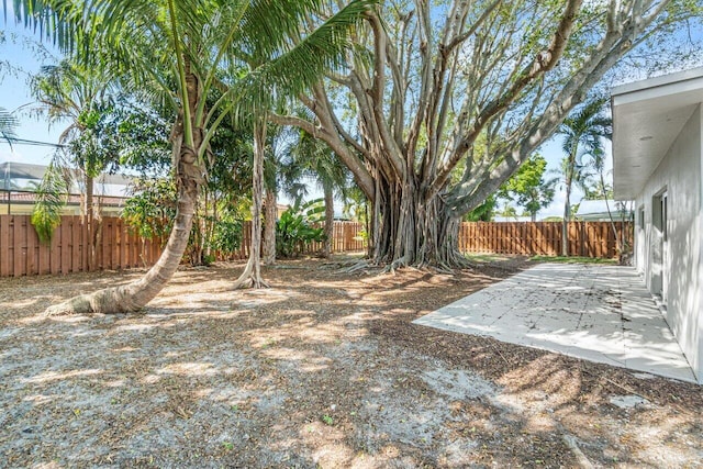 view of yard featuring a patio