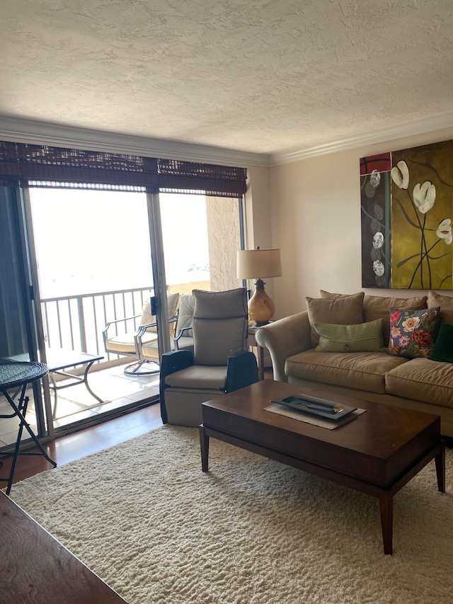 living room with a textured ceiling