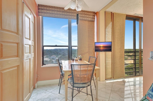 dining area with ceiling fan and a healthy amount of sunlight