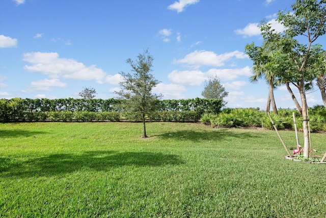 view of yard