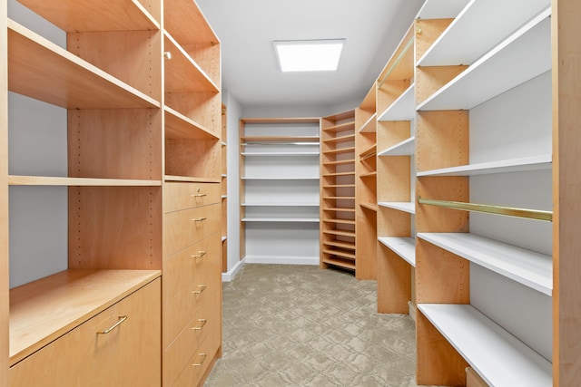 view of spacious closet