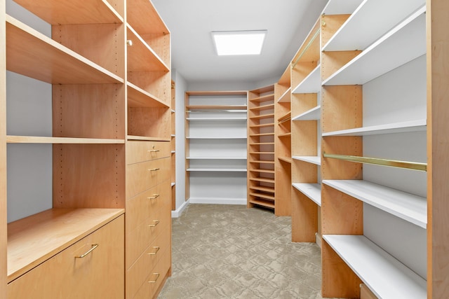 570 Ocean Dr Unit 1302, Juno Beach, FL 33408 - walk in closet with light floors