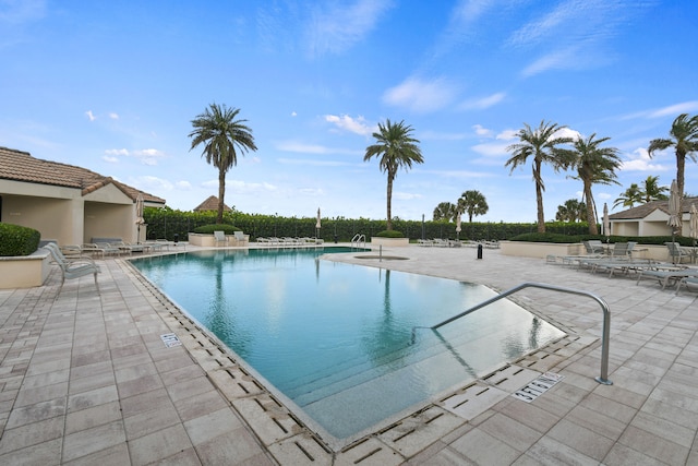 view of pool featuring a patio