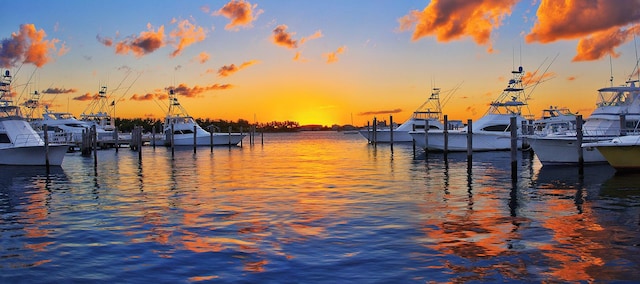 property view of water featuring a dock