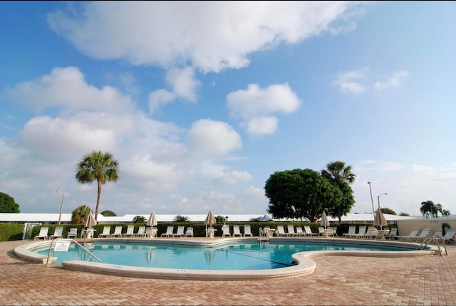 view of swimming pool with a patio