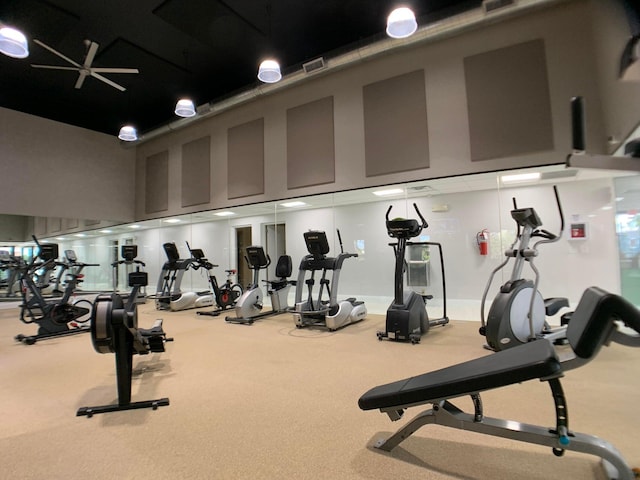 workout area featuring carpet flooring