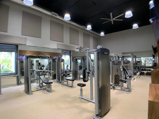 workout area featuring carpet