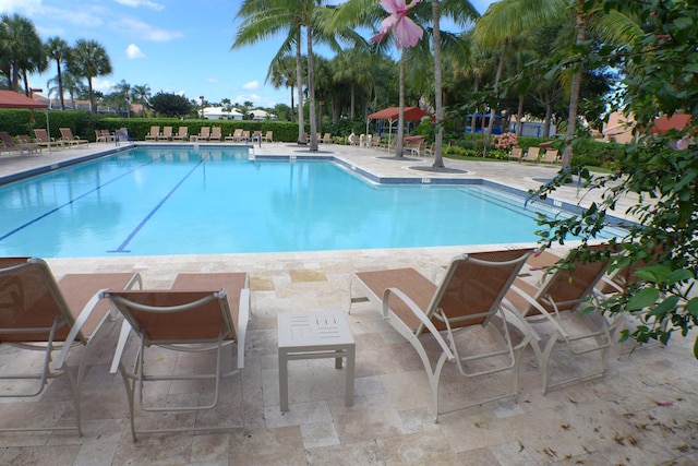 view of pool with a patio