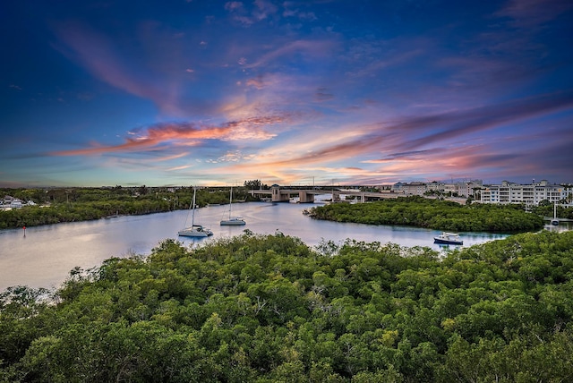 property view of water featuring a boat dock