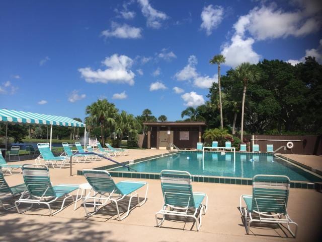 view of swimming pool with a patio