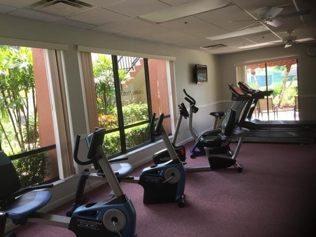 workout area featuring a paneled ceiling, ceiling fan, and plenty of natural light