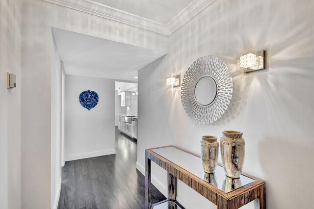 hall featuring ornamental molding and dark hardwood / wood-style flooring