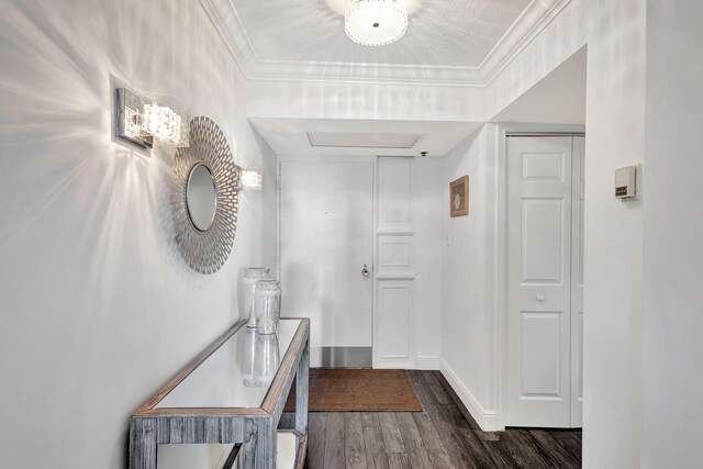 interior space featuring crown molding and dark wood-type flooring