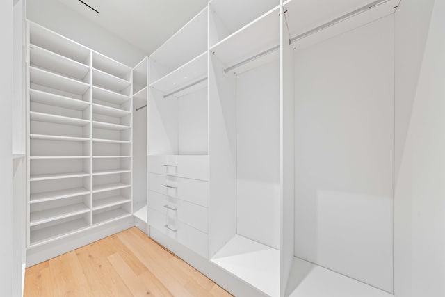 spacious closet featuring wood-type flooring