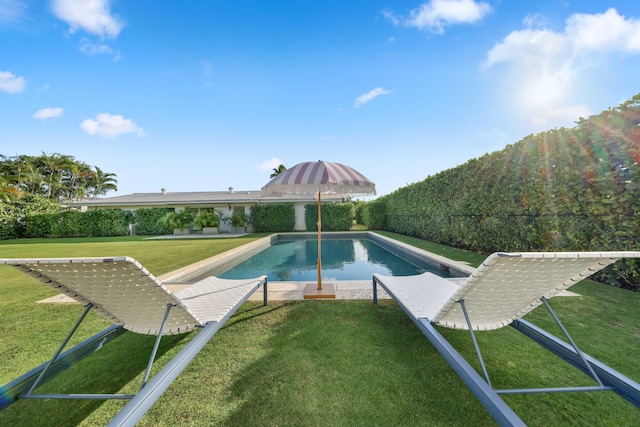 view of swimming pool featuring a lawn