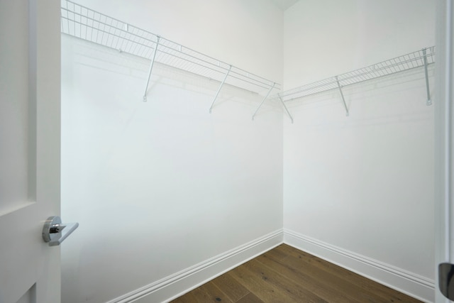 walk in closet with dark wood-type flooring