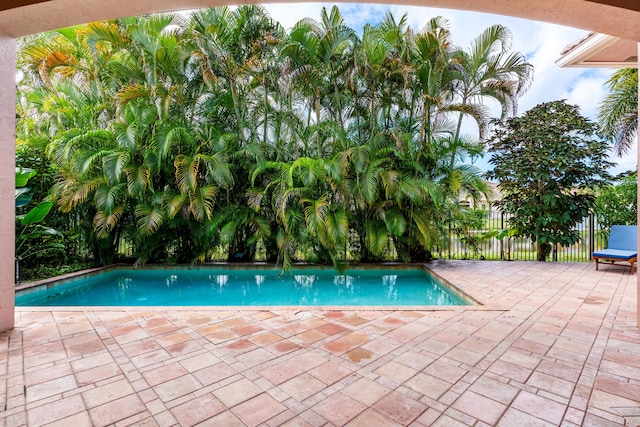 view of swimming pool featuring a patio area