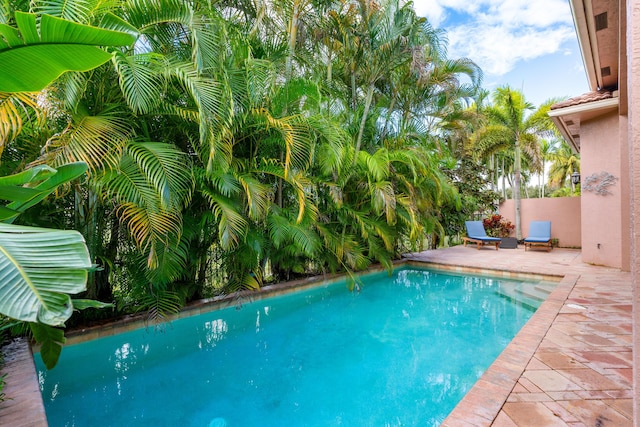 view of swimming pool with a patio