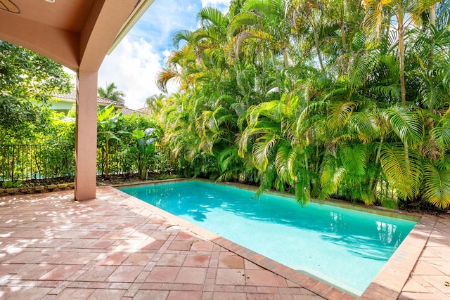 view of swimming pool featuring a patio area