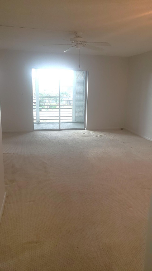 unfurnished room with ceiling fan and carpet