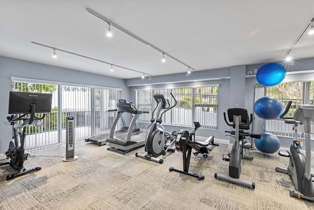 exercise room with a wealth of natural light and rail lighting