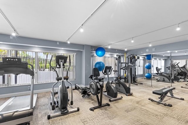 workout area featuring track lighting and carpet floors