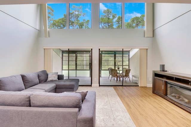 living room with light hardwood / wood-style floors, a high ceiling, and a healthy amount of sunlight