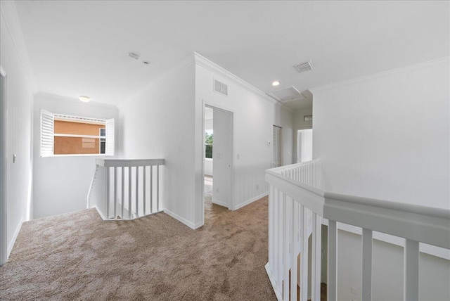 hall featuring carpet floors and ornamental molding