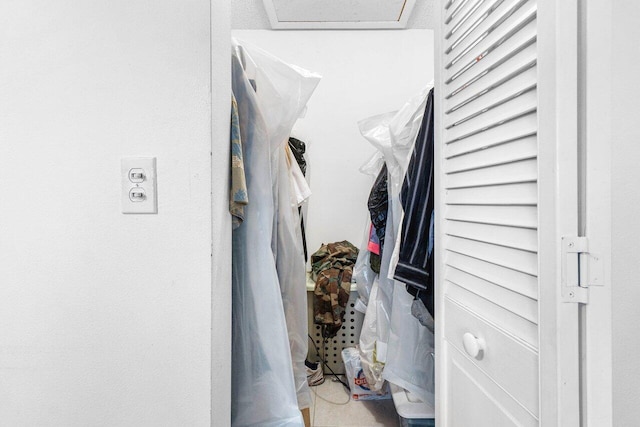 view of spacious closet