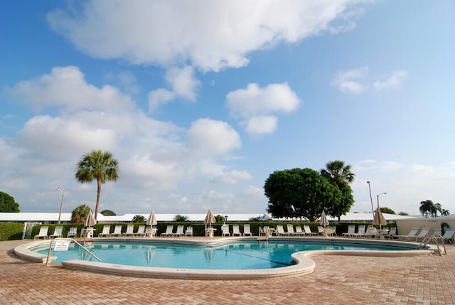 view of swimming pool featuring a patio